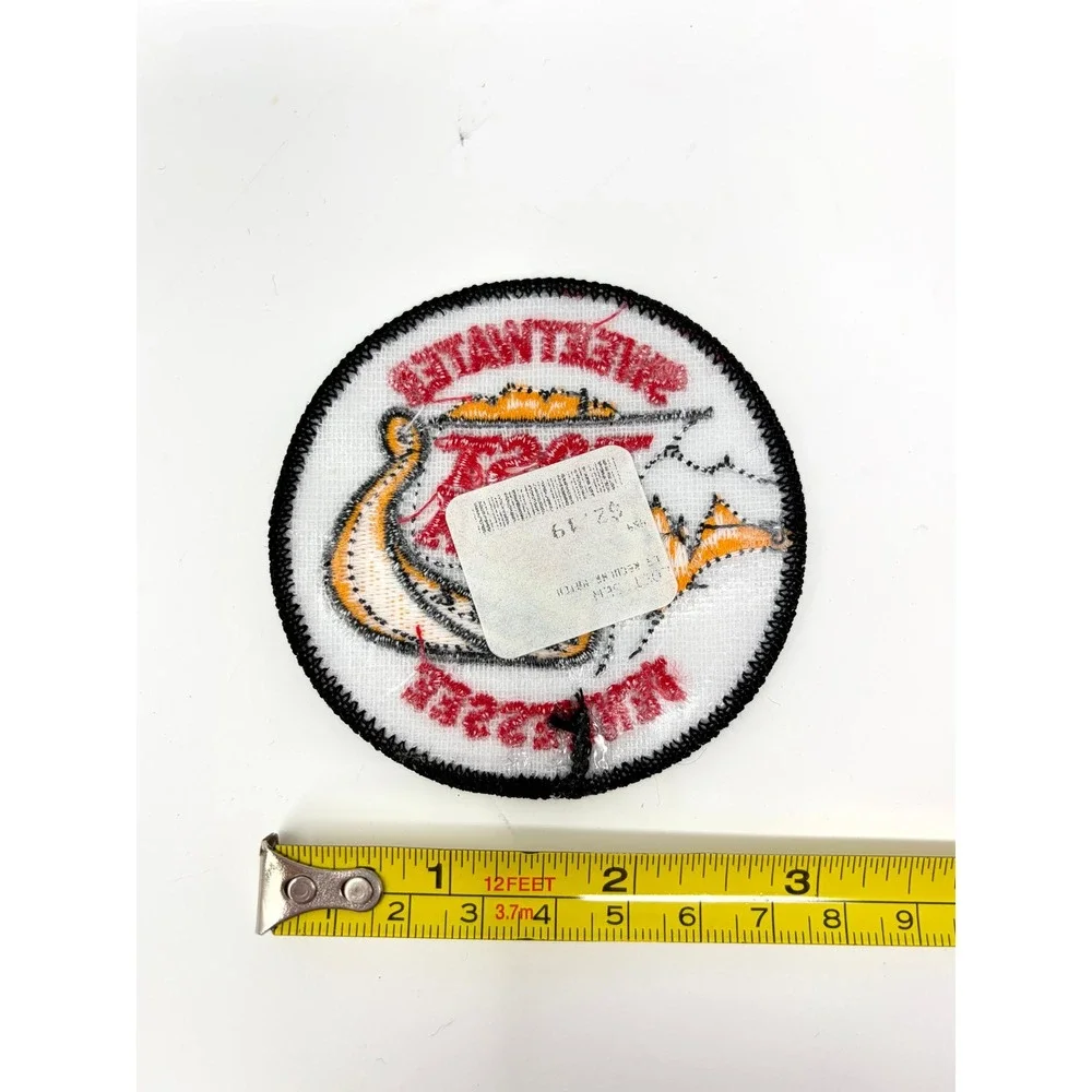 Vintage Lost Sea Patch Sweetwater Tennessee Souvenir Embroidered Viking Boat 3" - Picture 2 of 2